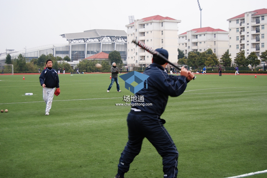 日本SMSL棒球协会2015年大联赛