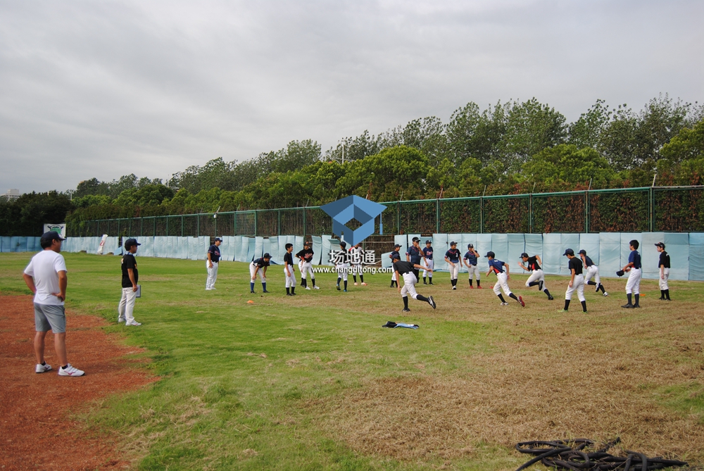 2017年日本青少年棒球训练营